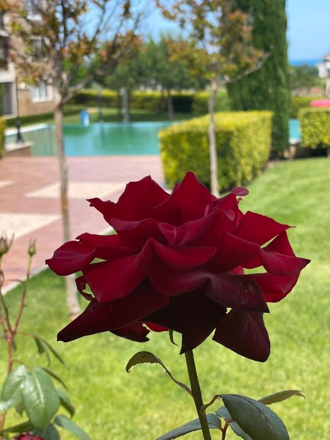 Provence Deluxe Apartment In Atia Resort Chernomorets Buitenkant foto